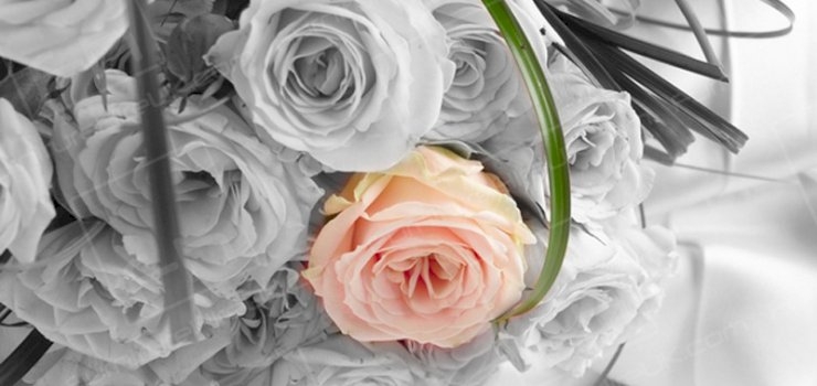 How To Achieve The Marvellous Monochrome Look How To Achieve The Marvellous Monochrome Look