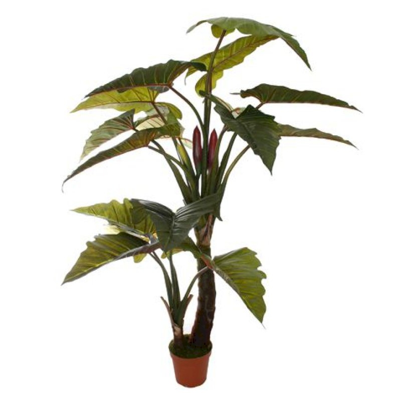 Artificial 6.5ft Giant Alocasia Tree